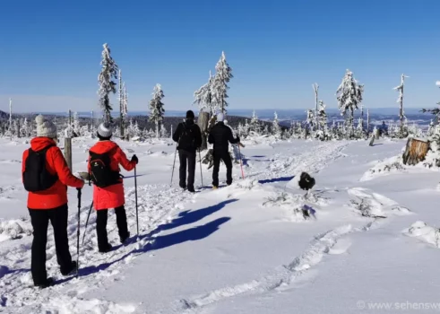 Winterurlaub Bayerischer Wald Skiurlaub mit Kindern